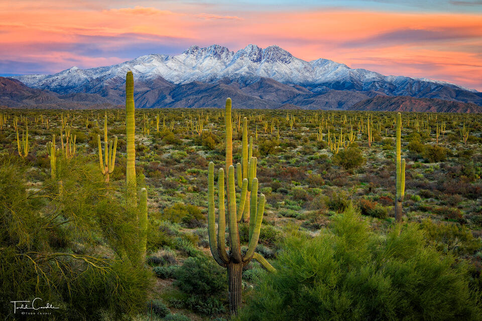 Four Peaks Winter Sunset print