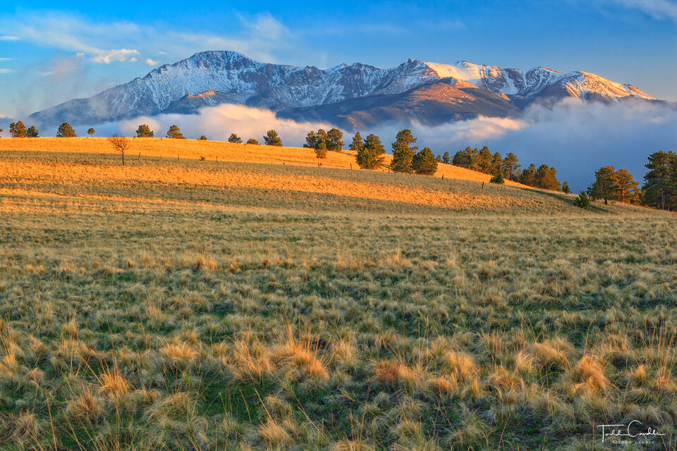 Evening Meadow & the North Face print