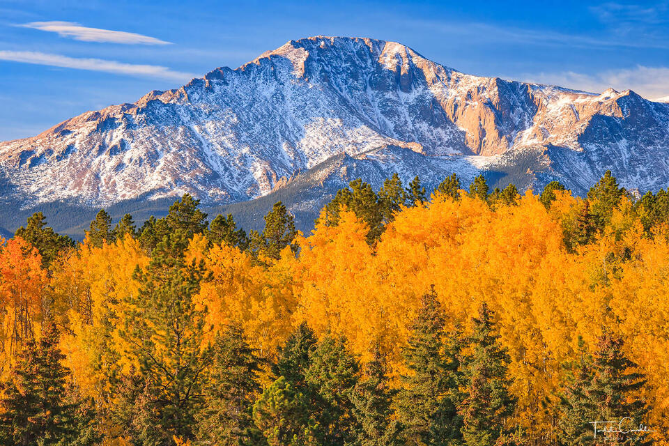 Autumn Aspens Below Pikes Peak's North Face print