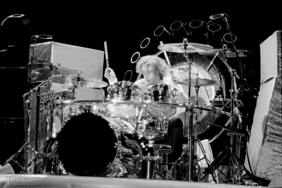 Alex Van Halen print