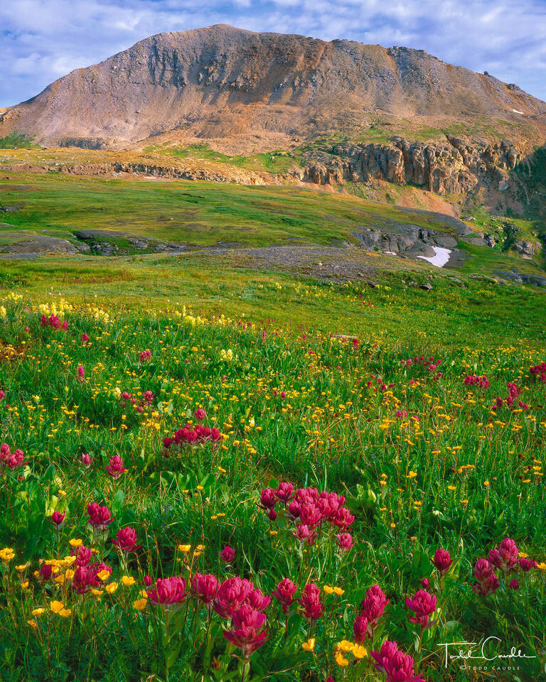 Porphyry Basin Paintbrush print
