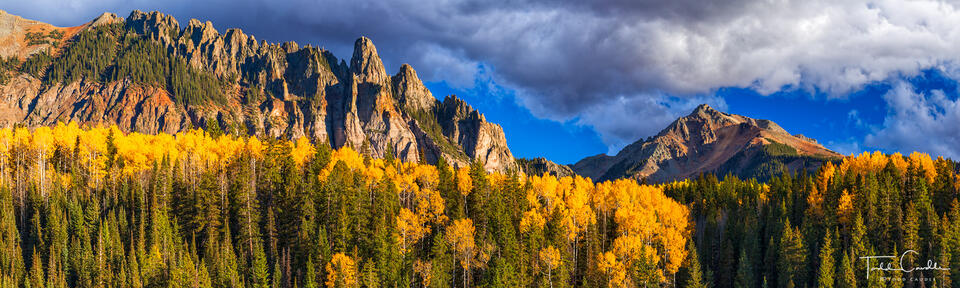 Ophir Needles Pano print