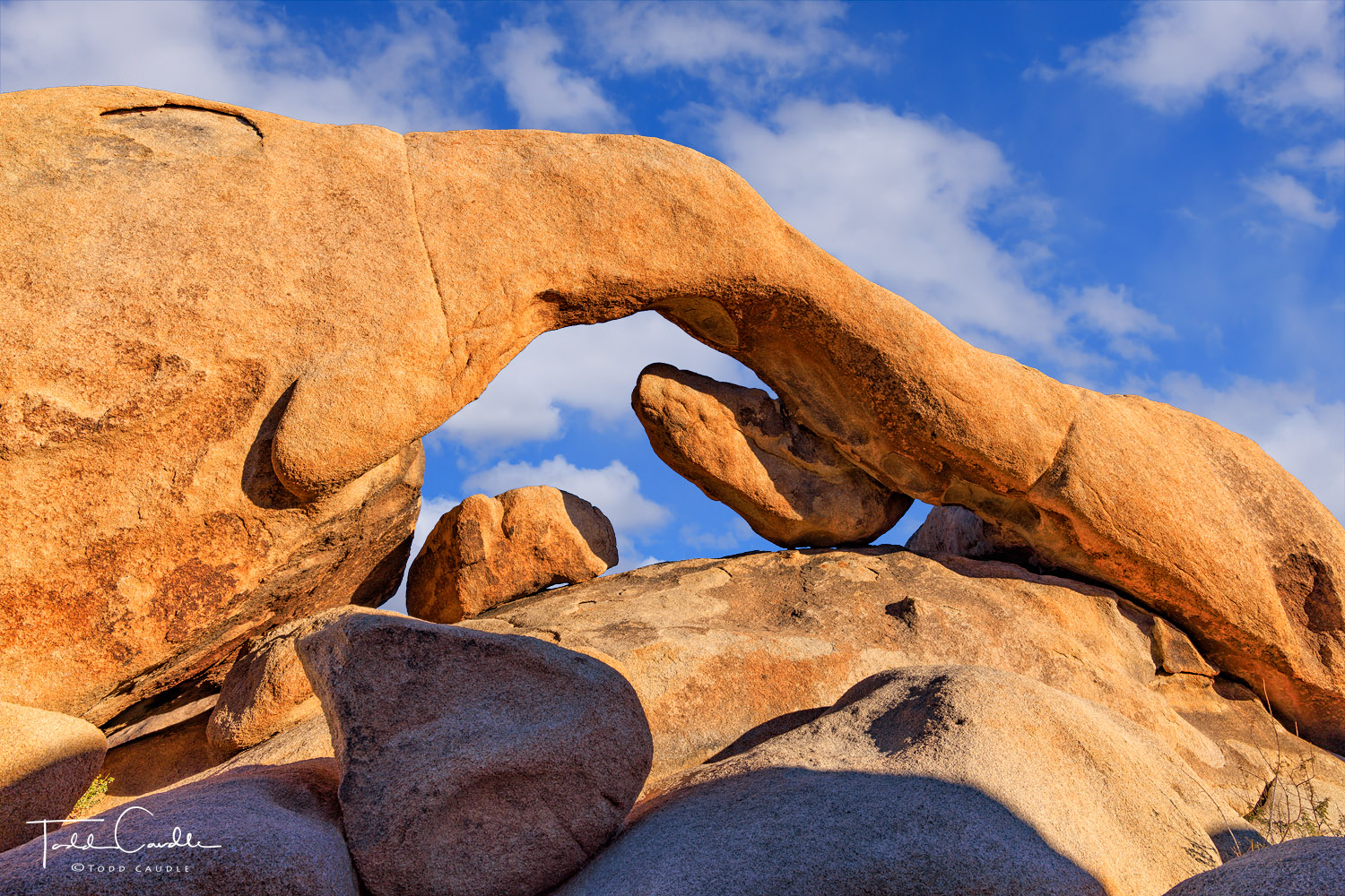 Among the jumble of rocks that Joshua Tree National Park is famous for, Arch Rock provides a window to the sky.