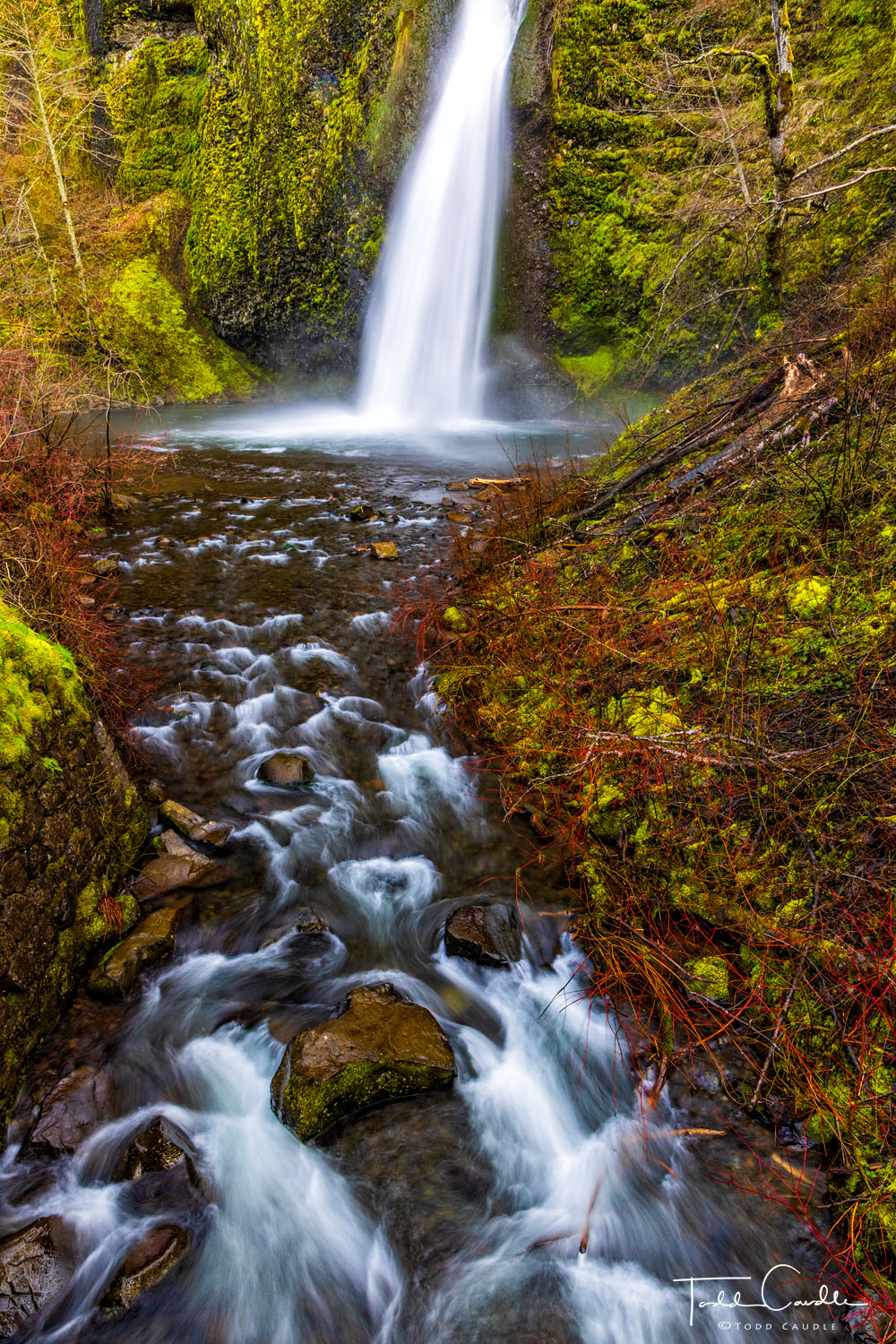 Aptly named Horsetail Falls is a beautiful roadside attraction along the Columbia Gorge Scenic Highway in Oregon.