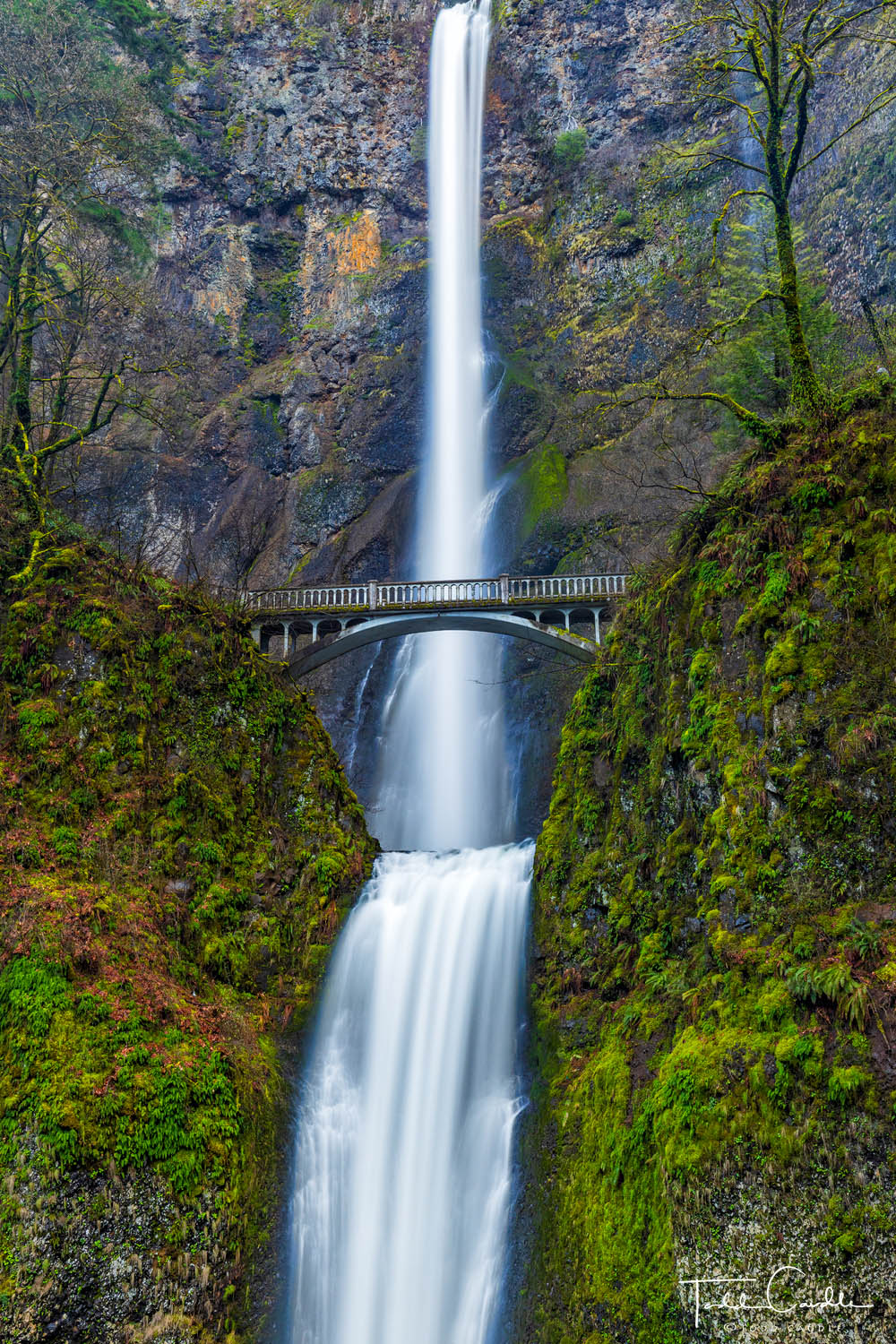 Multnomah Falls drops over 600 feet over the edge of a cliff to create America's second-highest perennial waterfall.