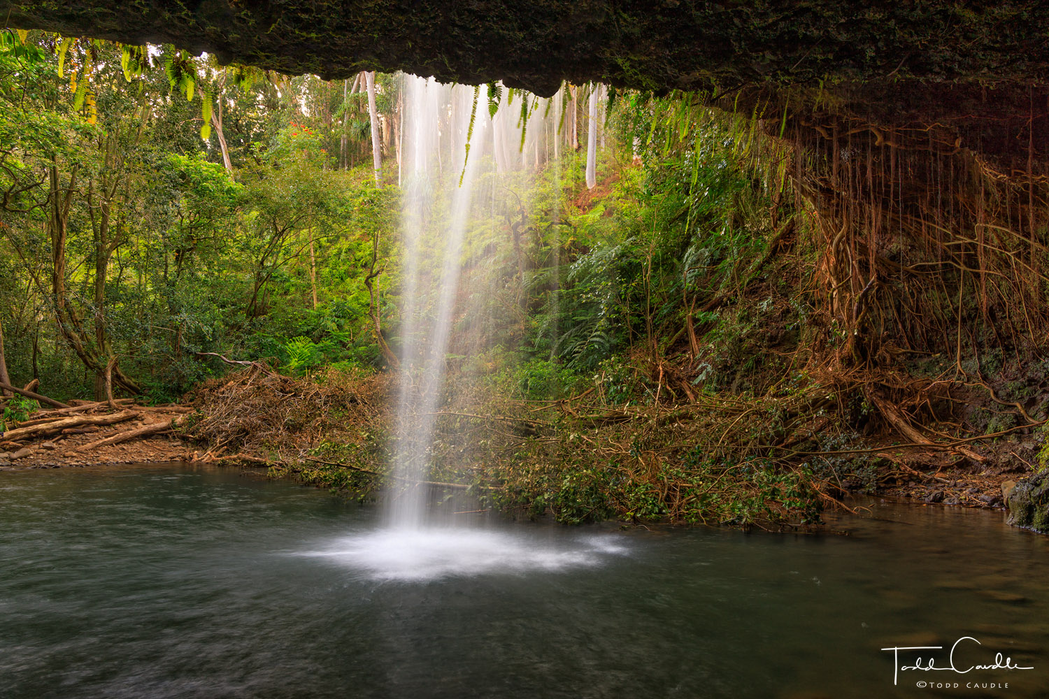 Near the Kahului start of the Road to Hana there's a short hike to a series of waterfalls called Twin Falls. This is the alcove...