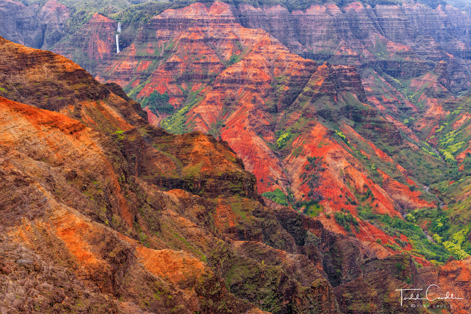 Waimea Canyon, one of the most beautiful places I've ever seen.