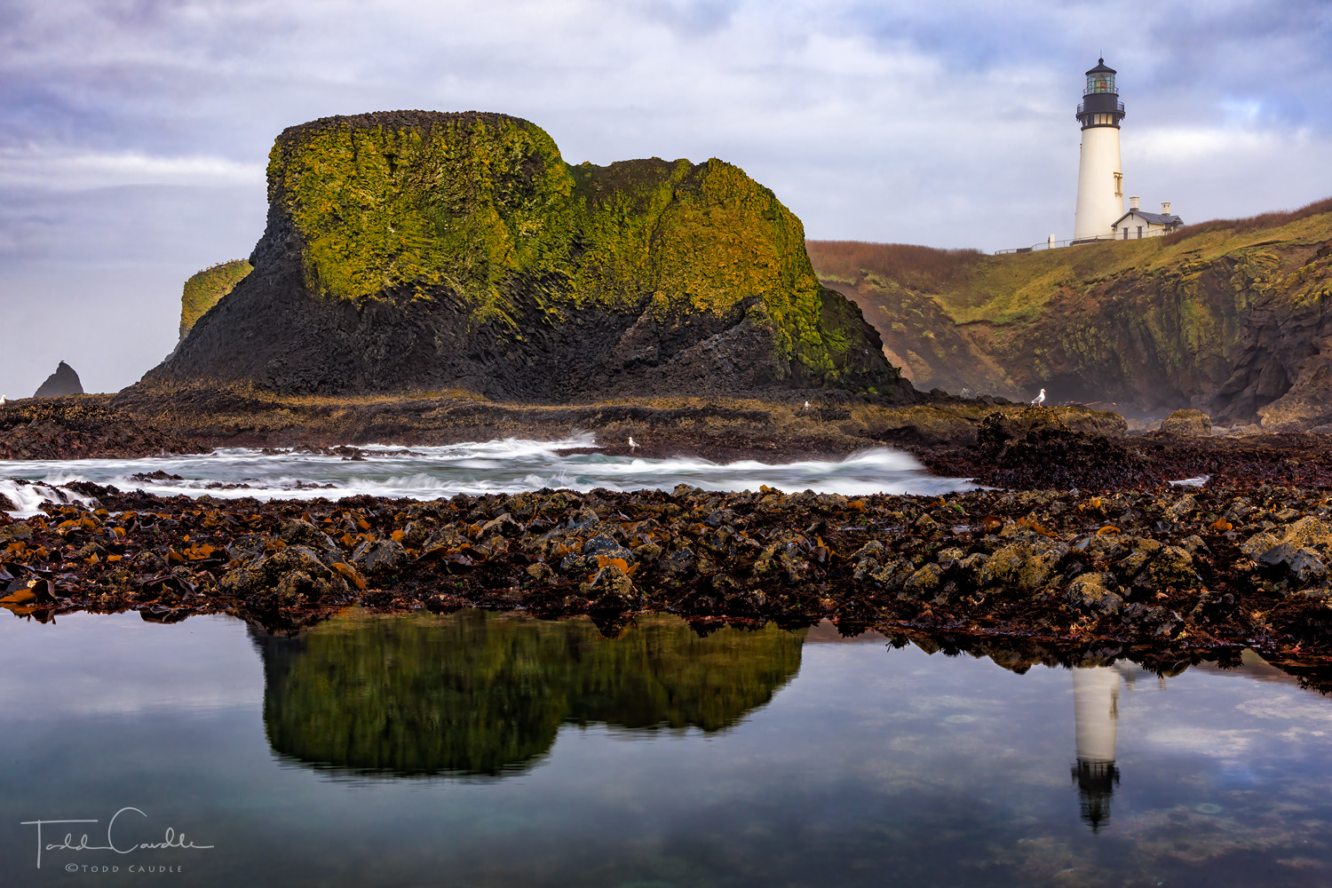 The Yaquina Head Lighthouse reflects in a tidepool at minus tide at the Yaquina Head Outstanding Natural Area.