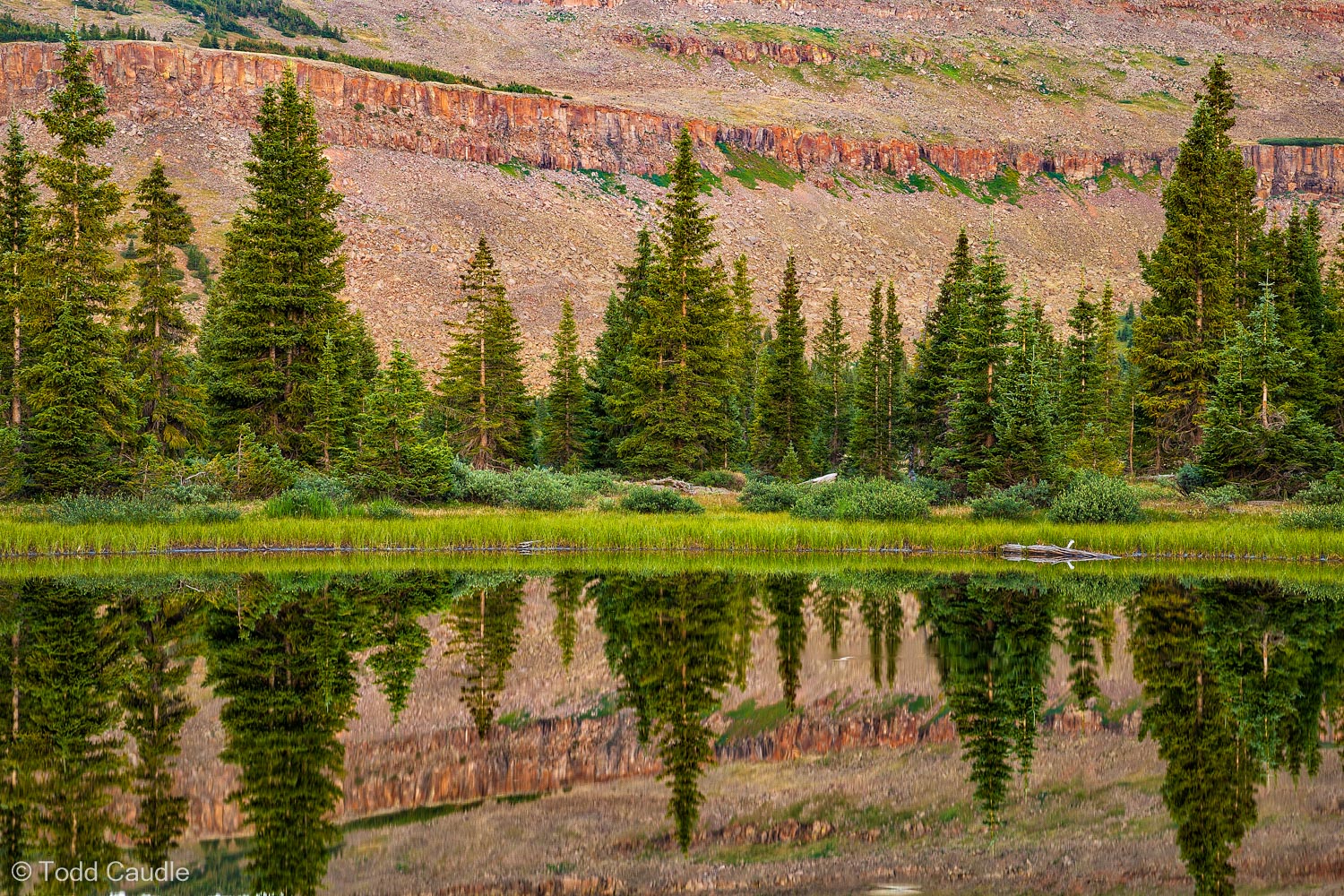 A tarn near Star Lake reflects the surrounding forest at dusk.