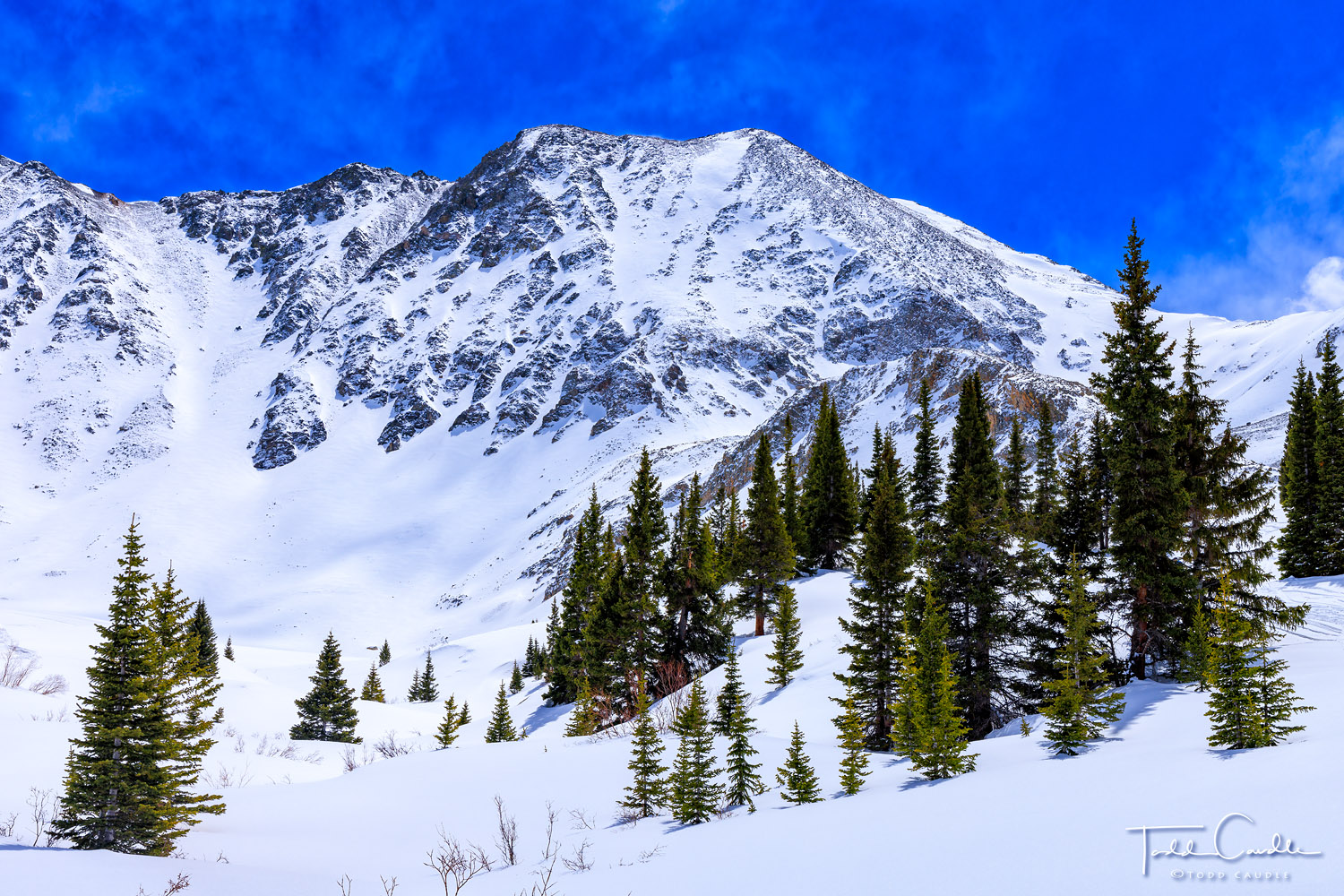 A bluebird day in Colorado's high country is celebrated among the high peaks and ridges surrounding Mayflower Gulch, a popular...