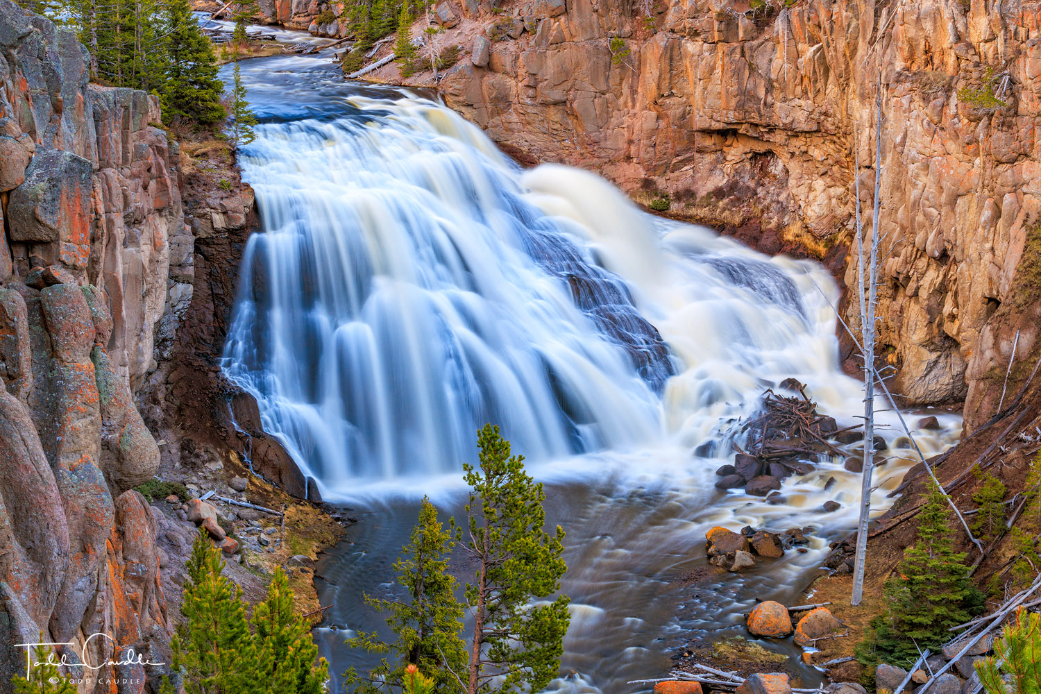 Spring snowmelt engorges Gibbon Falls along the Gibbon River in Yellowstone National Park. The loud rush of water was almost...
