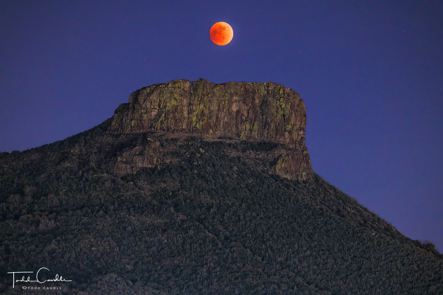 A total lunar eclipse turns the moon blood red as it rises over Castle Rock, a prominence on South Table Mountain in Golden.