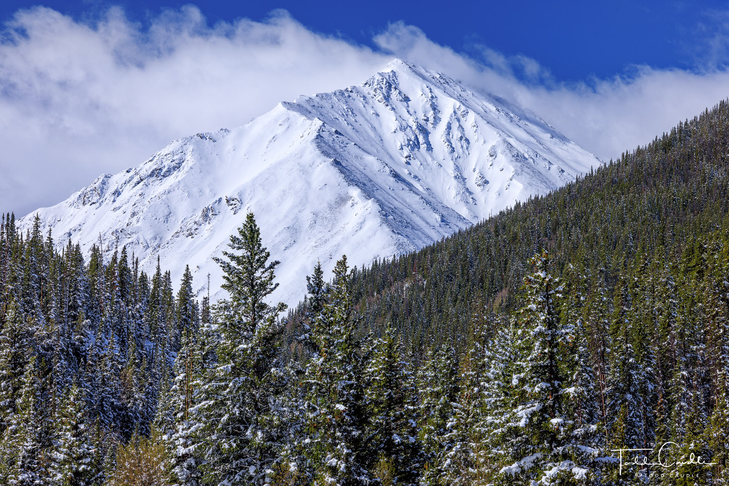 An unexpected late-season snow creates a winter(-looking) wonderland around Torreys Peak.