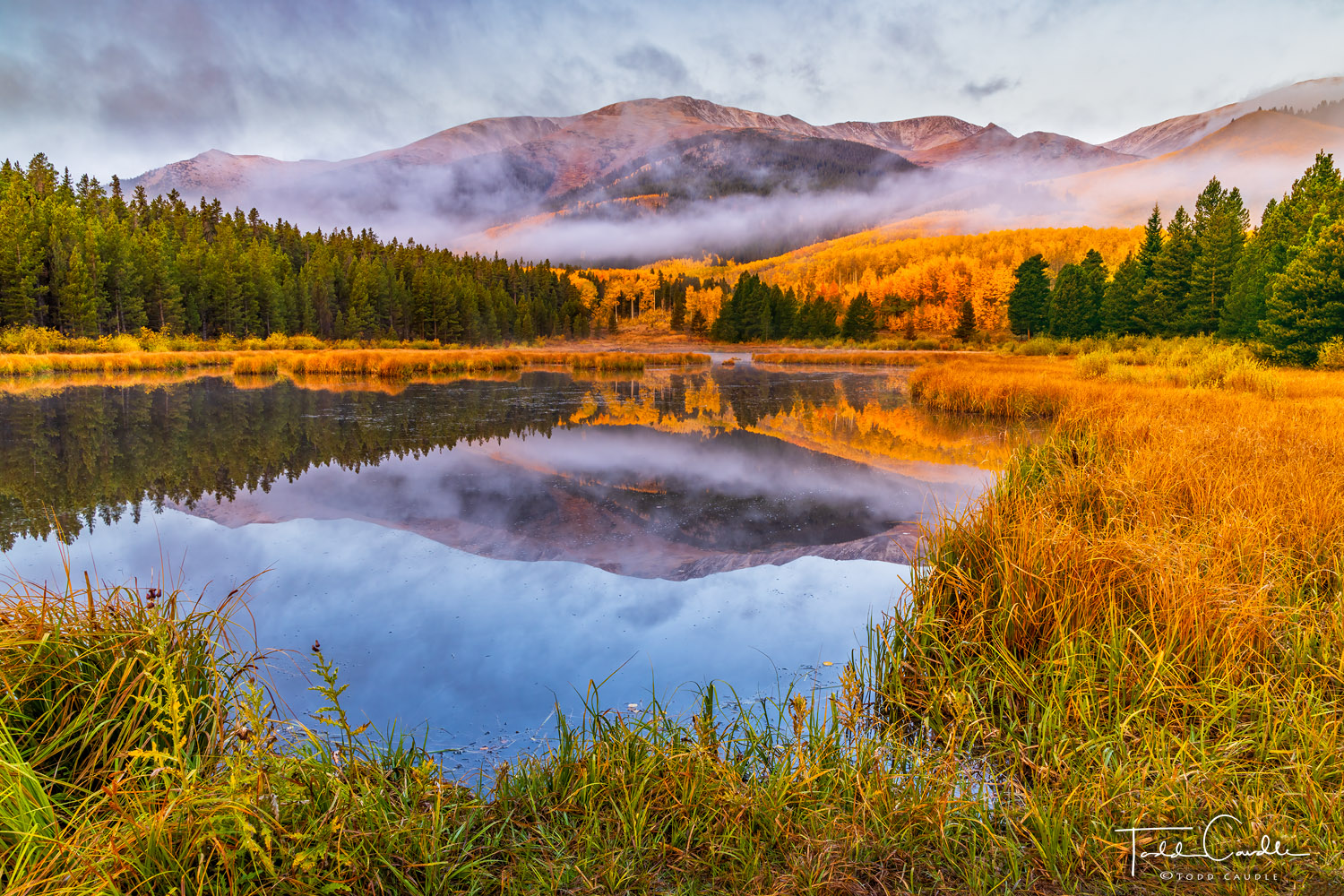 Fog drifts through the forest on the east slopes of the Sawatch Range as a still beaver pond reflects the dynamic scene.