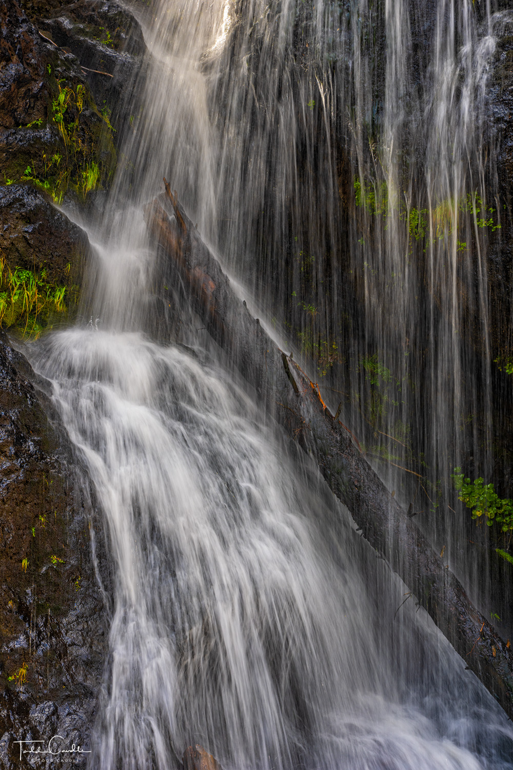 Waterfall Along the CDT (vertical) Hike the Continental Divide Trail northbound from Cumbres Pass and you will eventually stumble upon this beautiful 25-foot-tall...
