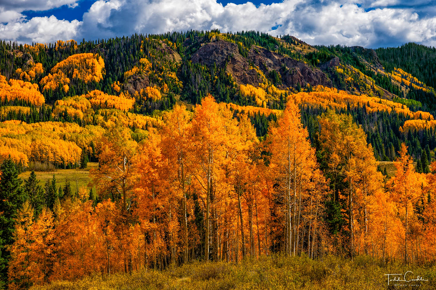 La Manga Pass Autumn #3 The area straddling the Colorado-New Mexico border north to where the Conejos River spills into the San Luis Valley contains...