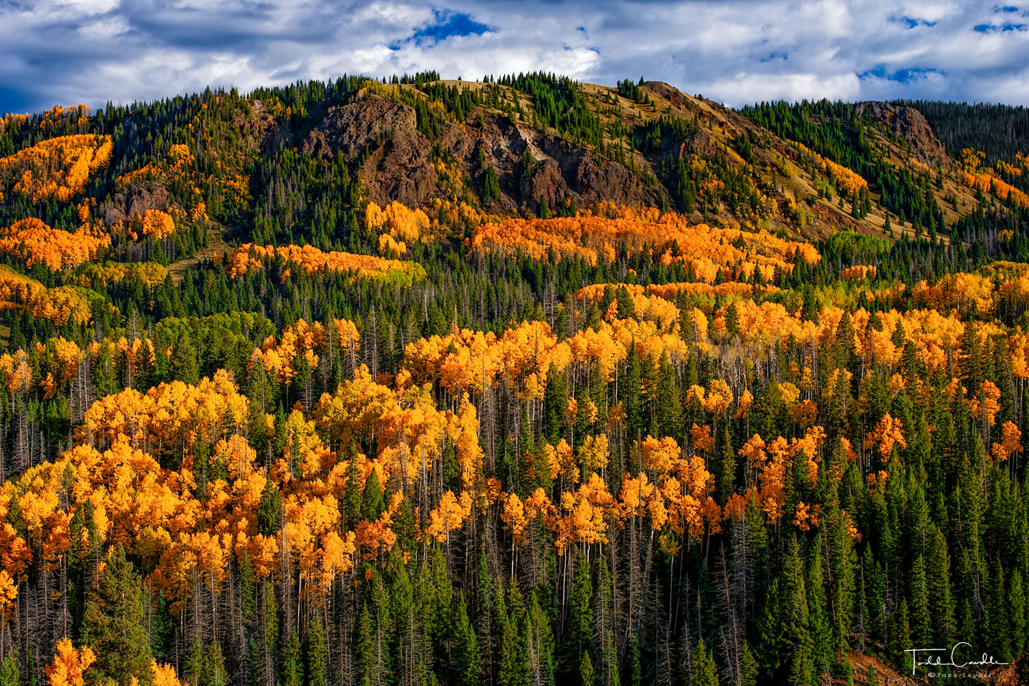 La Manga Pass Autumn #4 The area straddling the Colorado-New Mexico border north to where the Conejos River spills into the San Luis Valley contains...
