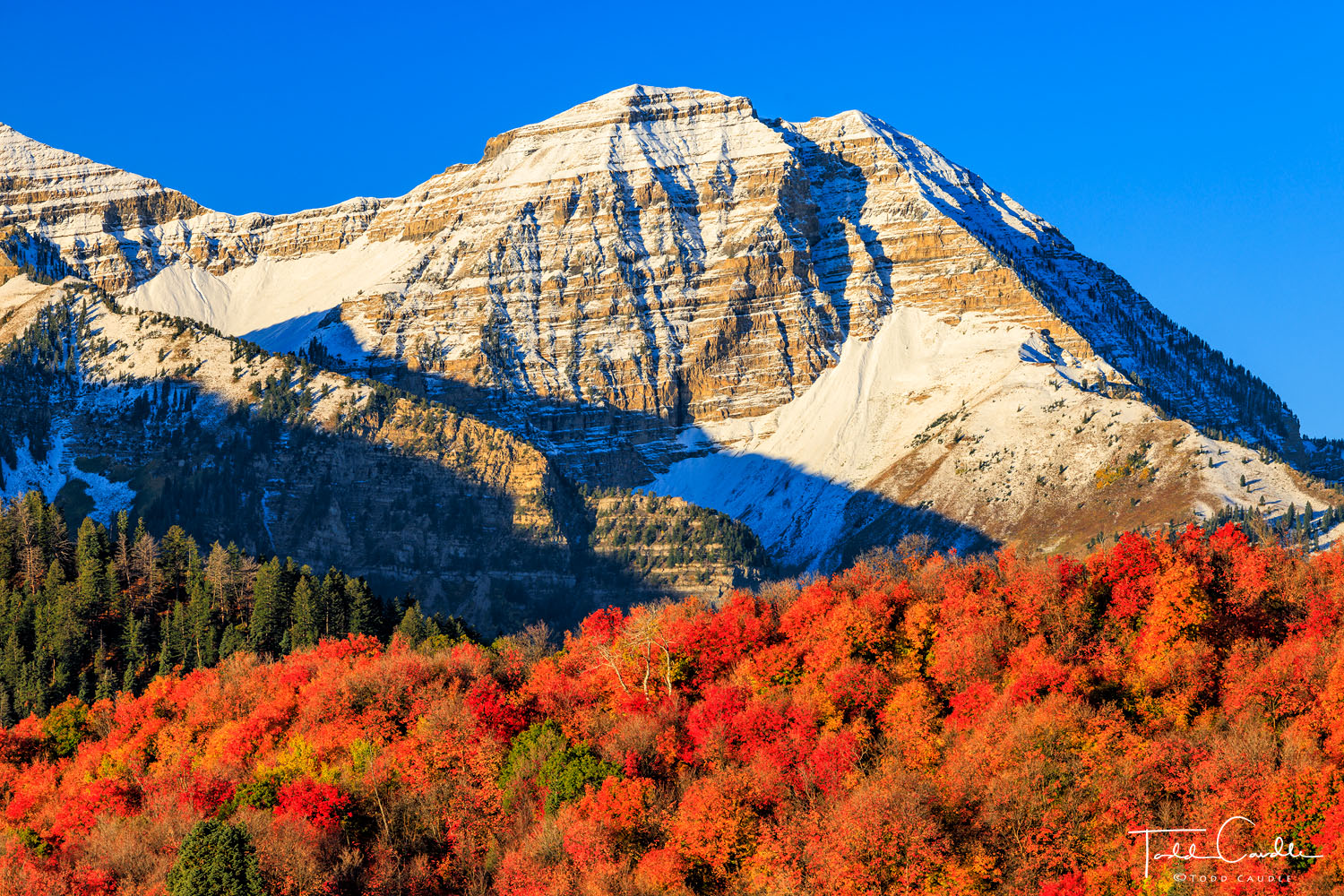 North Timpanogos, a prominent subpeak of the mighty Mount Timpanogos massif, sports a fresh dusting of snow above hillsides resplendent...