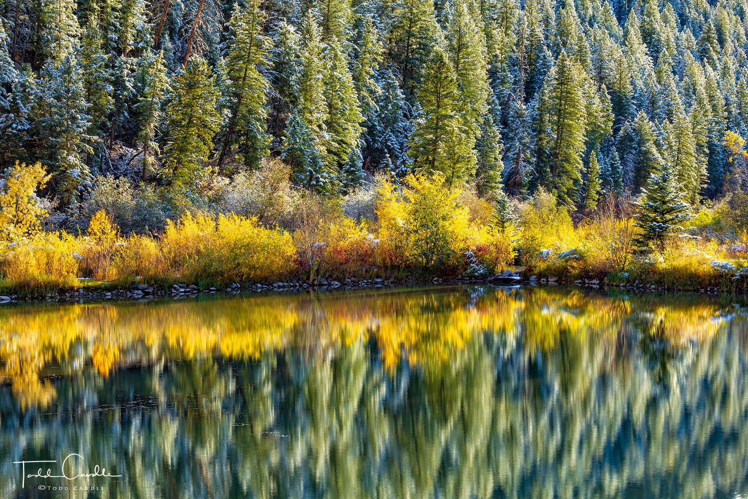 Trees reflect in an autumn-gold-lined tarn after an early-season storm left a dusting of snow in its wake.