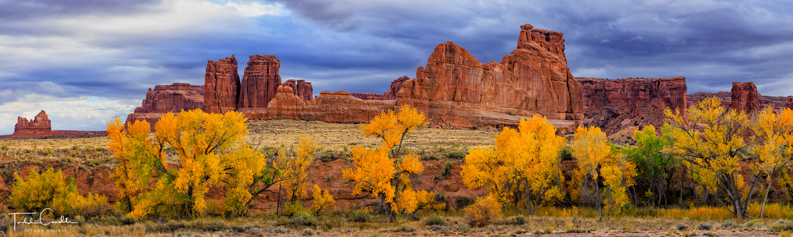 Colorful autumn cottonwoods line the banks of a usually dry wash as oddly shaped sandstone formations rise beyond.