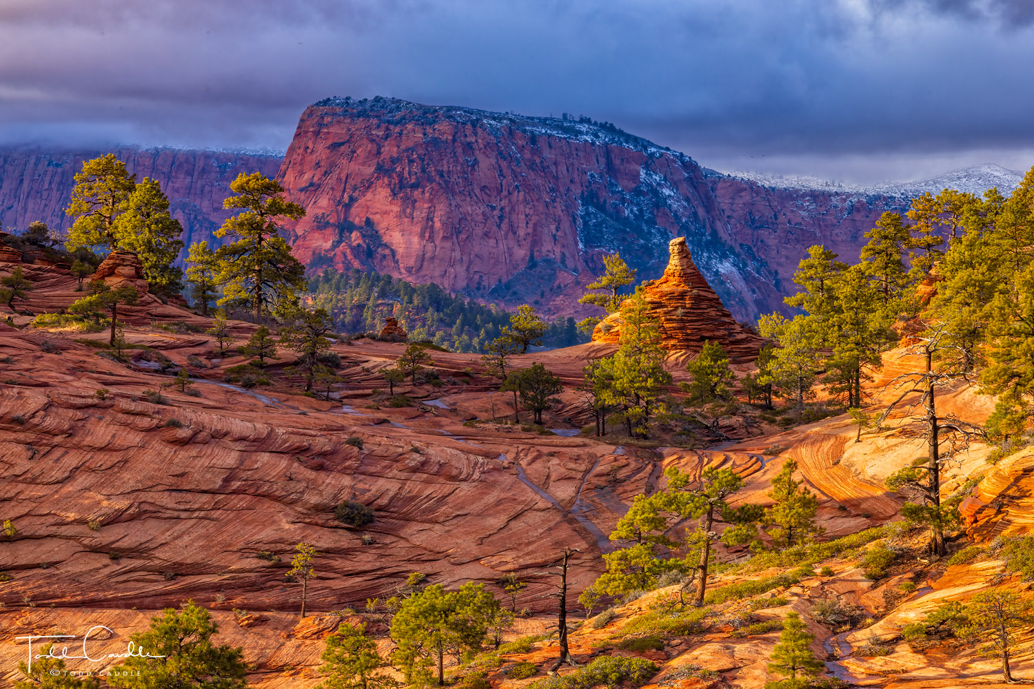 Clouds envelope the highest mesas of Kolob Terrace while sandstone hoodoos bask in the glow of a Christmas Day sunset.