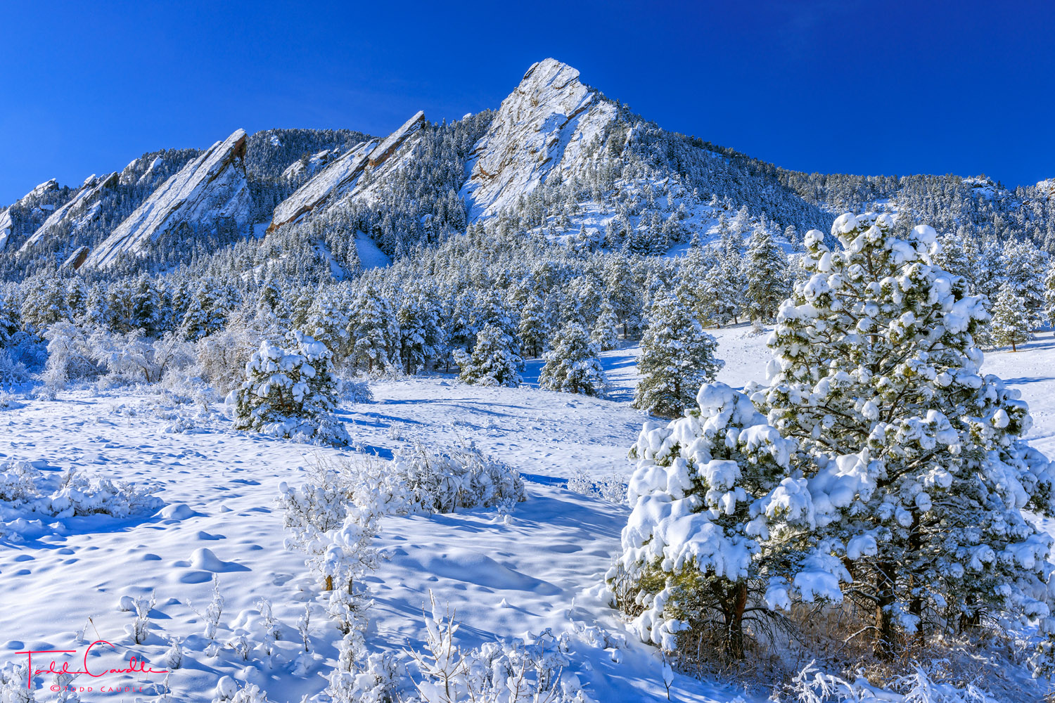 Winter magic at the Flatirons in Boulder. (not shown: me getting my truck stuck in a snow drift on the way home...)