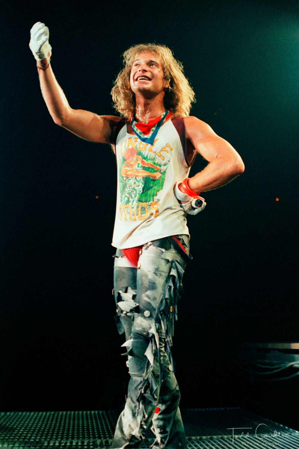 Van Halen, Eddie Van Halen, Alex Van Halen, Michael Anthony, David Lee Roth, McNichols Arena, 1984