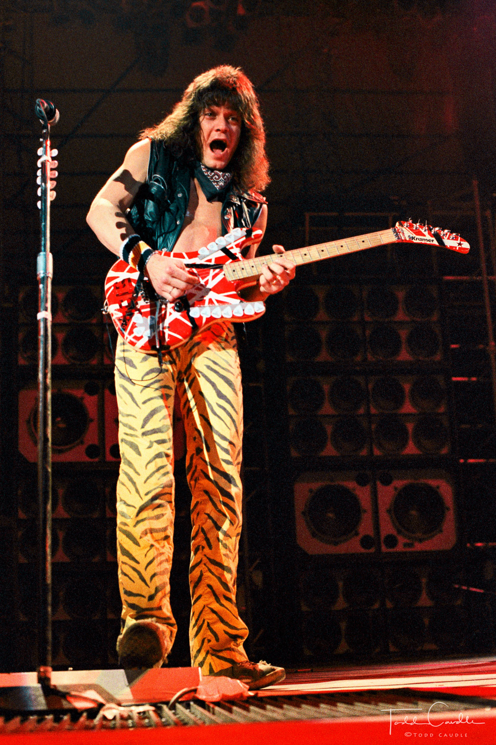 Van Halen, Eddie Van Halen, Alex Van Halen, Michael Anthony, David Lee Roth, McNichols Arena, 1984