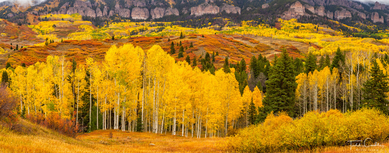 Slopes of the volcanic Cimarron Range burst with color as autumn colors take hold of the landscape.